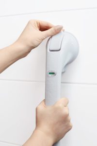 Vitility International B.V.