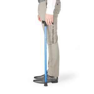 Vitility International B.V.