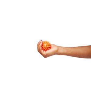 Vitility International B.V.