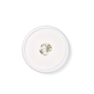 Vitility International B.V.