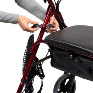 Vitility International B.V.