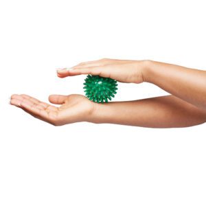 Vitility International B.V.