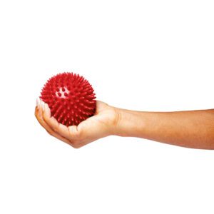 Vitility International B.V.